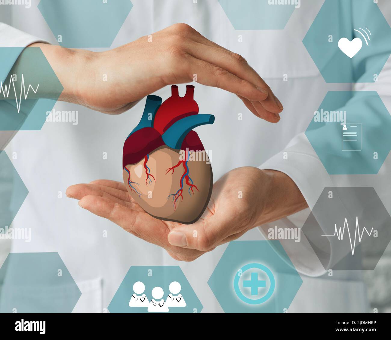 Apoyo médico a la salud cardiaca y cardiovascular humana por cardiología. Ayuda al corazón, concepto Foto de stock