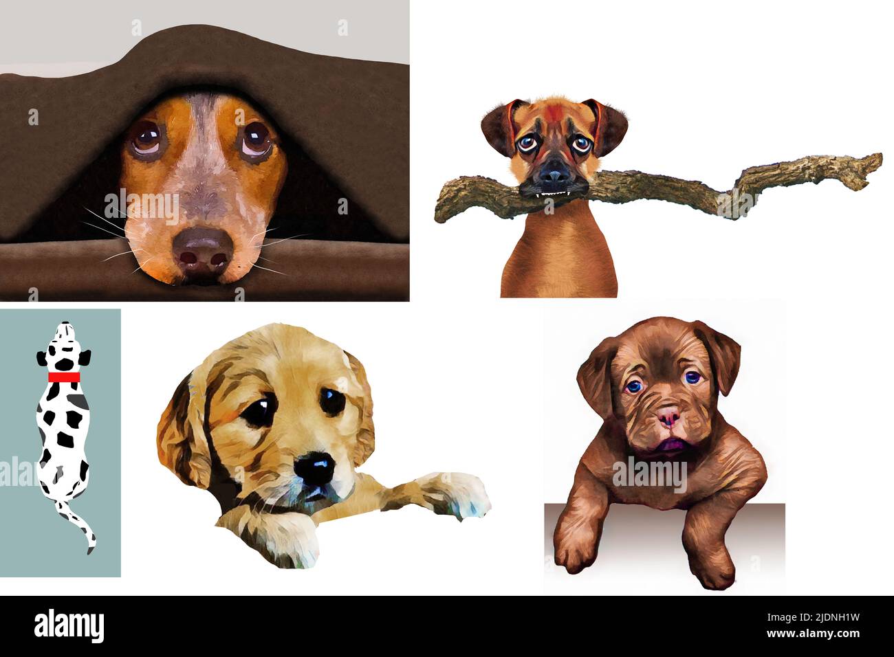 Los perros se ven en ilustraciones 3-d que pueden ser usadas para un recurso gráfico. Foto de stock