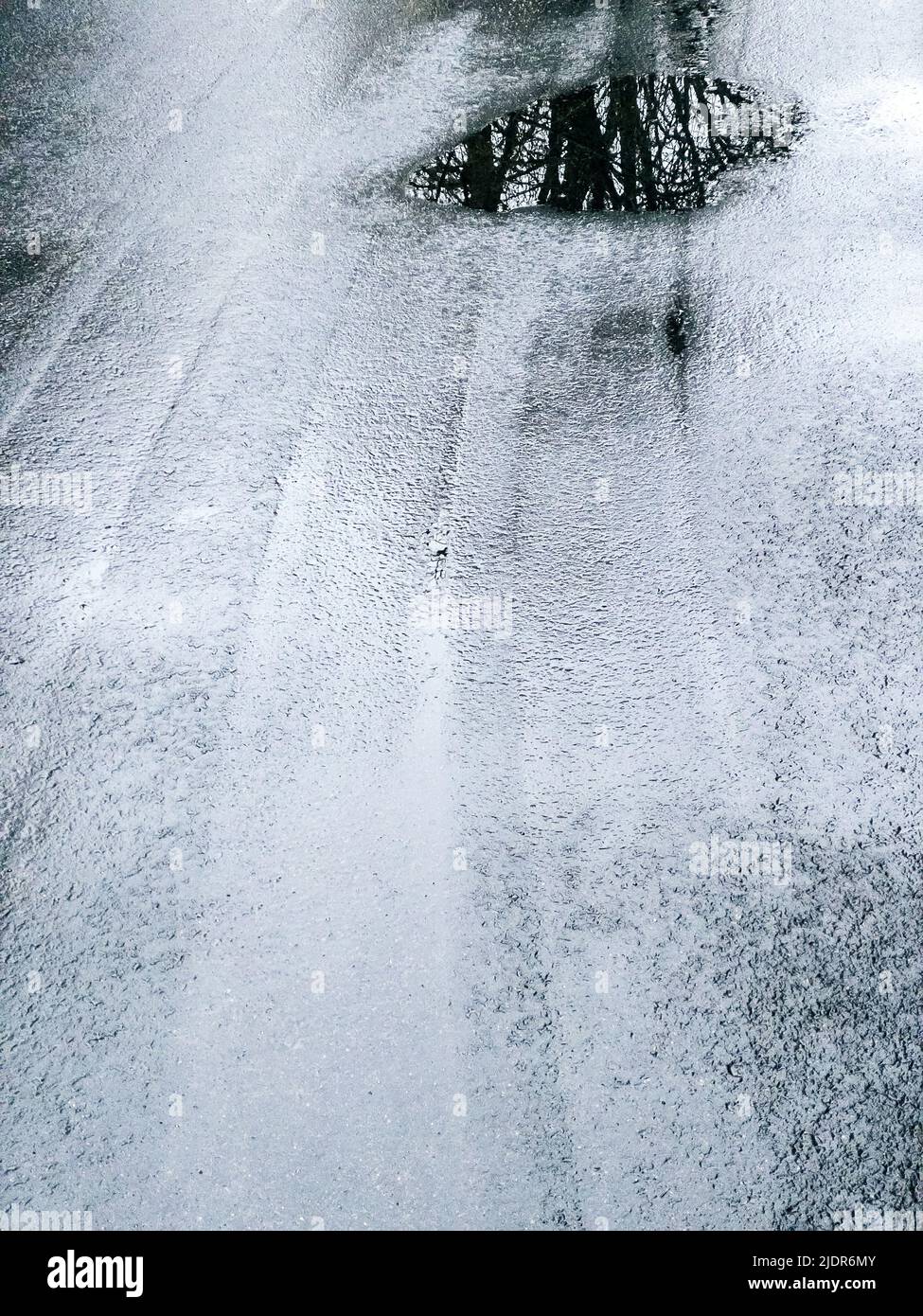 camino de asfalto húmedo con reflejos de árboles en charco de agua Foto de stock