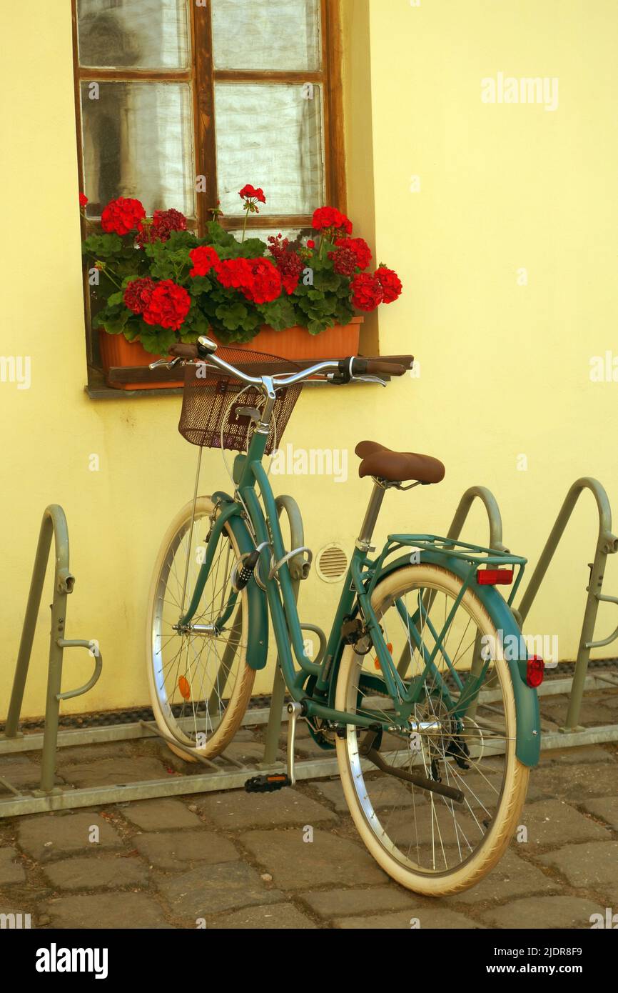 bicicleta verde aparcada por una ventana con flores rojas Foto de stock