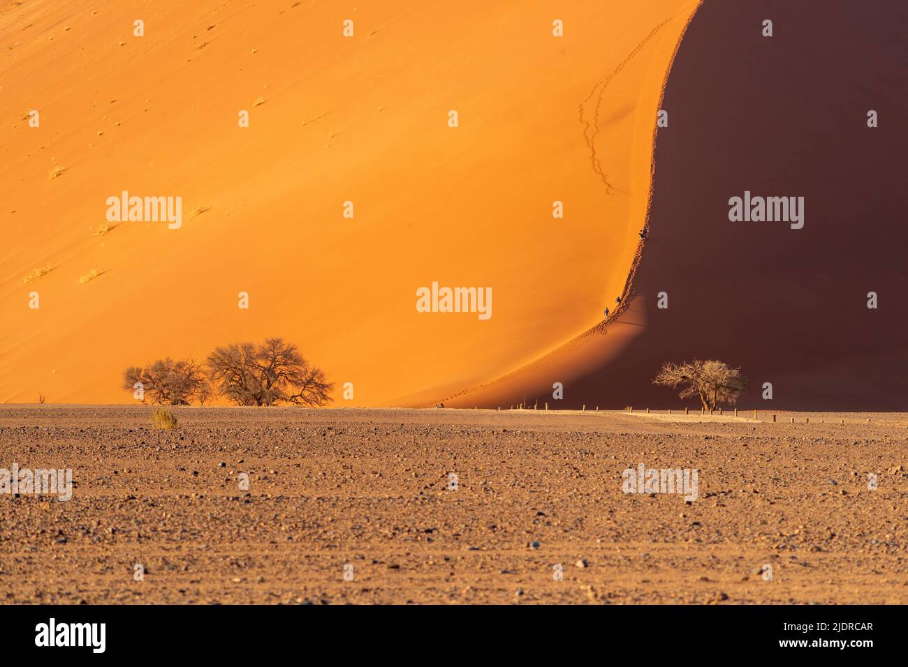 Paisaje desértico de las dunas de Sossuvlei en Namibia por la mañana Foto de stock