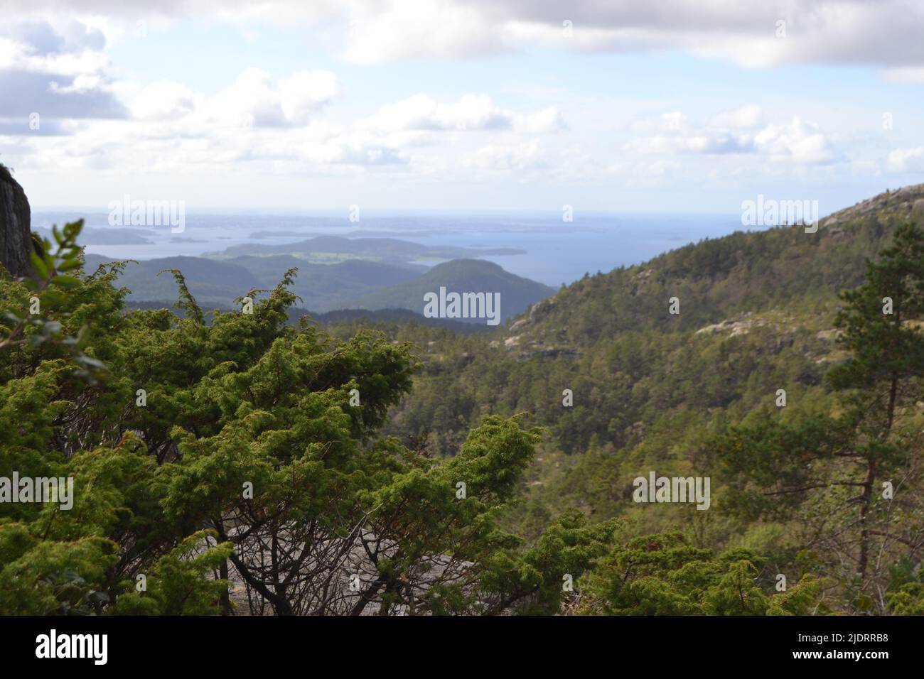 Vista sobre las montañas boscosas de Ryfylke, Noruega Foto de stock