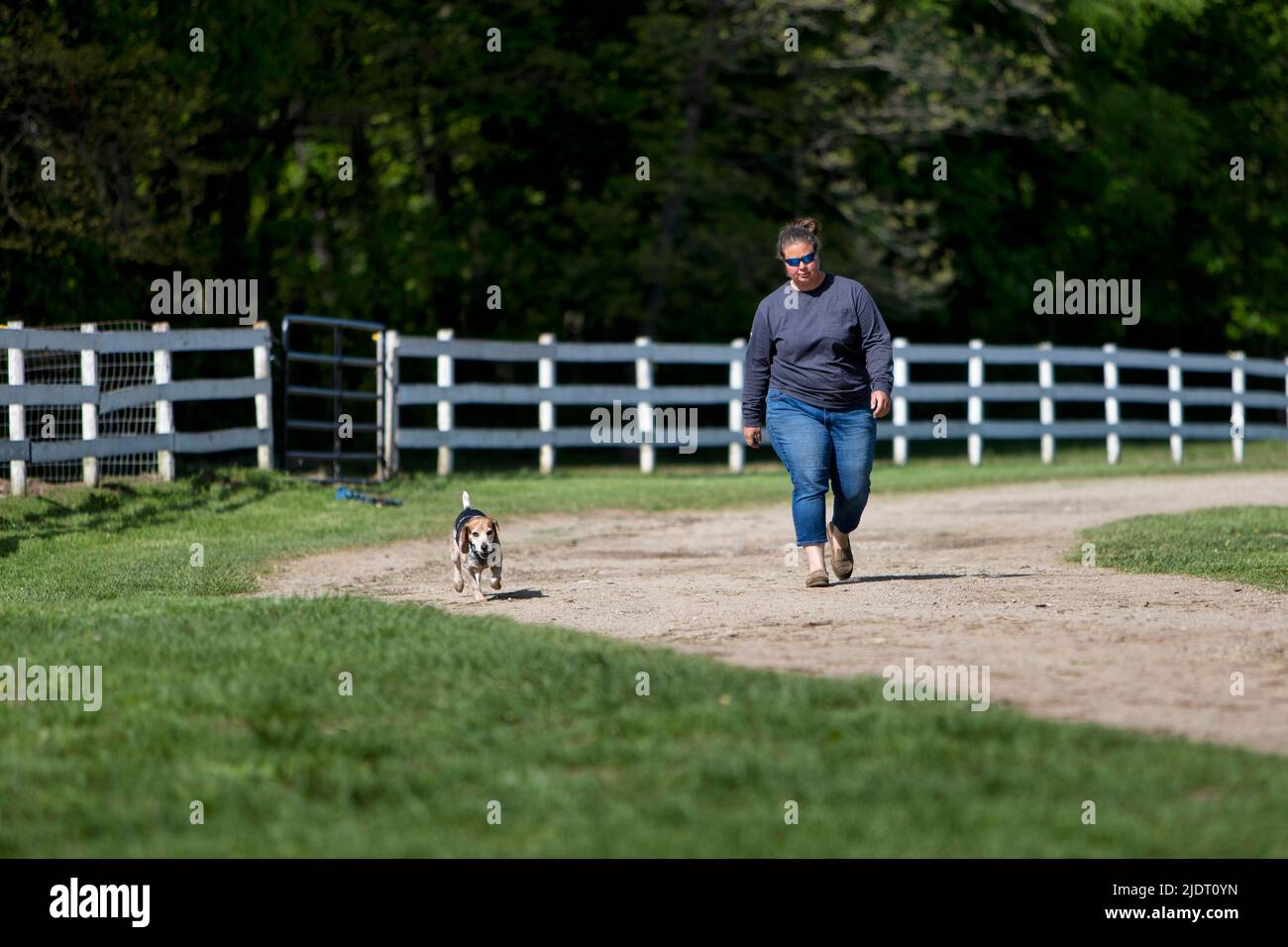 Una mujer caminando por un camino con un perro pequeño. Foto de stock