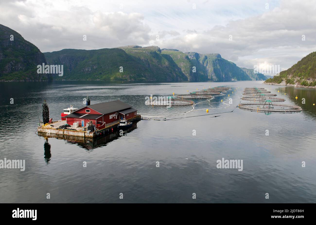 Piscifactoría que produce salmón en Jösenfjord, condado de Hjelmeland (Rogaland, Noruega) en junio de 2015. Foto de stock