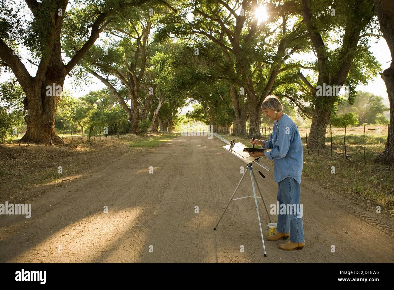 Mujer madura pintando paisaje en acuarela ' en plein air' , de pie en camino de entrada o camino de rancho sin pavimentar entre los pastos bordeados de madura Fremont Foto de stock