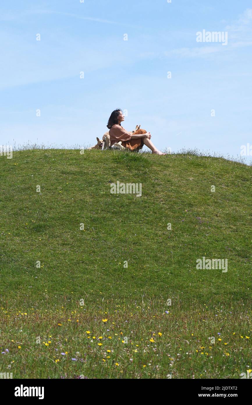 Una señora con sus perros disfrutando del sol de mediados de verano en una colina verde en Wiltshire. Foto de stock