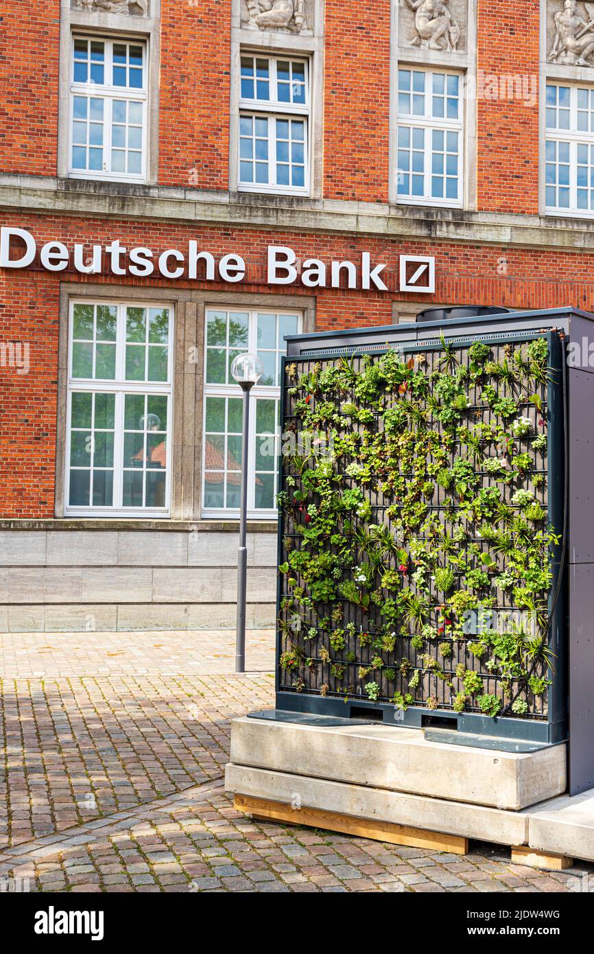 Una pared verde vertical en el jardín fuera del Deutsche Bank en Kiel, Schleswig-Holstein, Alemania Foto de stock