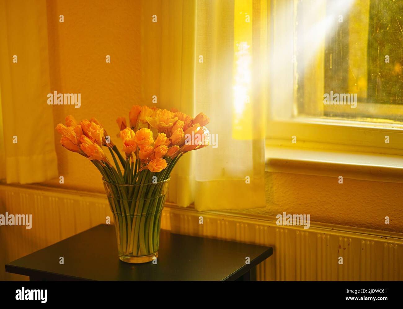 Hermoso ramo de flores frescas de tulipanes en una mesa en casa vacía. Naranjas frescas de verano flores que simbolizan la esperanza, el amor y el crecimiento. Flores brillantes como Foto de stock