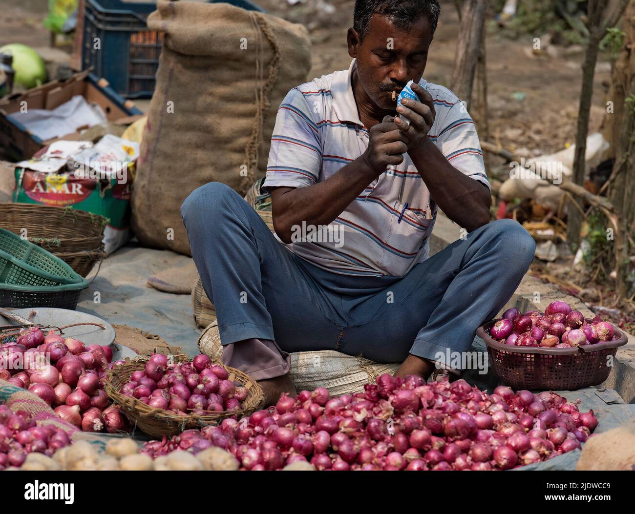 Vendedor de cebolla, Assam, India. Foto de stock