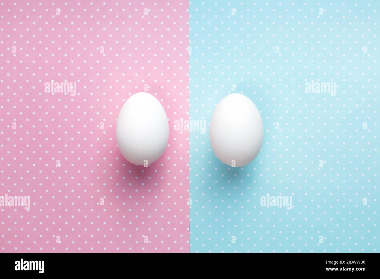 Concepto de igualdad de género. Dos huevos sobre fondo rosa y azul. Vista superior, espacio de copia Foto de stock