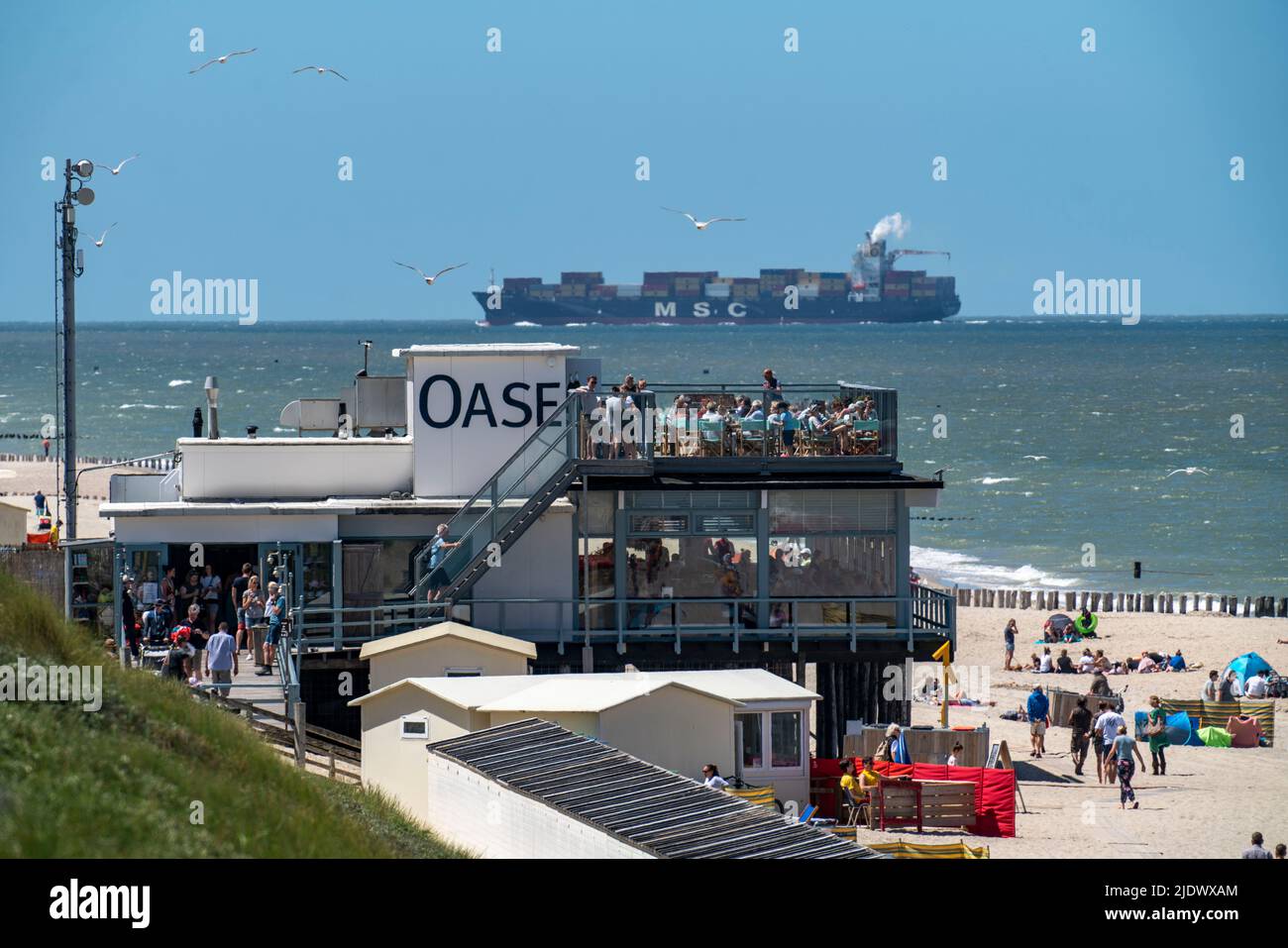 Playa de Domburg, en Zeeland, Holanda del Sur, Países Bajos, en el fondo un carguero de contenedores de la compañía naviera MSC, entra en el Scheldt, remolque Foto de stock