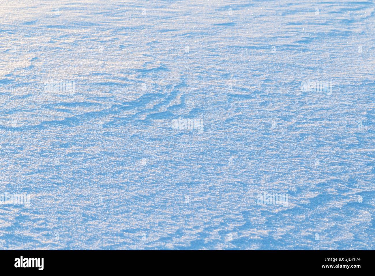 Primer plano de nieve fresca y brillante en el suelo en un día soleado. Bueno como un fondo de la estación del invierno. Espacio de copia. Foto de stock