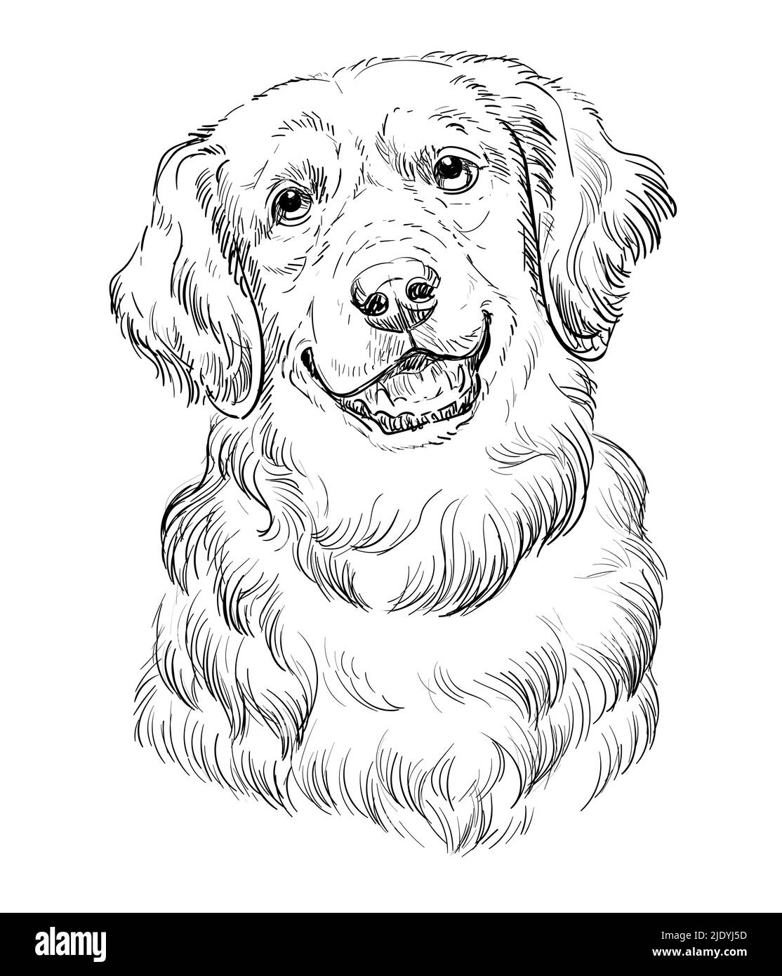 Dibujo de perro Imágenes de stock en blanco y negro - Página 2 - Alamy
