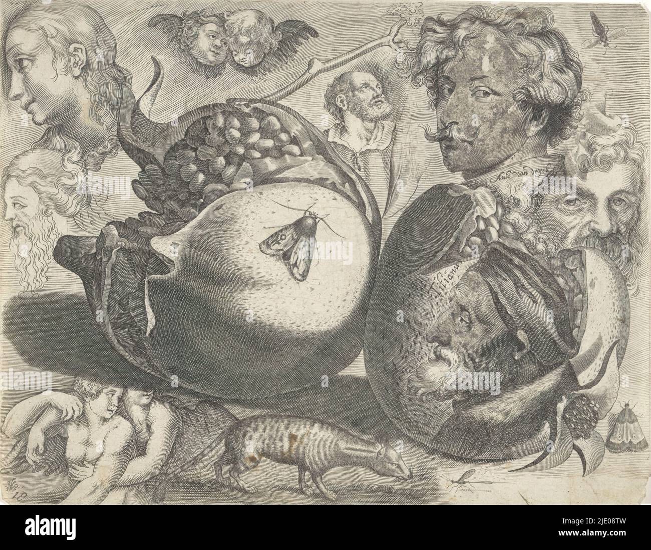 Hoja de estudio con ejemplos de dibujo: Cabezas, figuras, frutas, animales, ejemplos de dibujo (título de serie), decimoctavo estampado de una serie de ejemplos de dibujo de tamaño desconocido. Hoja de estudio con cabezas, figuras y animales. En el centro izquierda una granada con mariposa en la parte superior. Arriba a la derecha retrato de Anthony van Dyck, abajo retrato de Tiziano. Alrededor de él varios insectos, animales y figuras incluyendo un civet., fabricante de la impresión: Michael Snijders, editor: Michael Snijders, después de la impresión por: Adriaen Collaert, Amberes, después de 1610 - antes de 1672, papel, grabado, altura 184 mm x ancho 237 mm Foto de stock