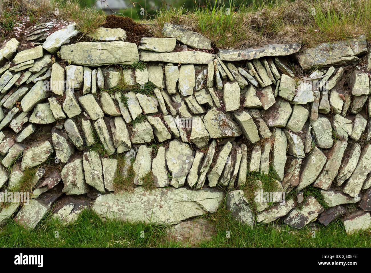 Pared de piedra seca cubierta con varios líquenes, Parque Nacional Exmoor, Devon, Reino Unido. Foto de stock