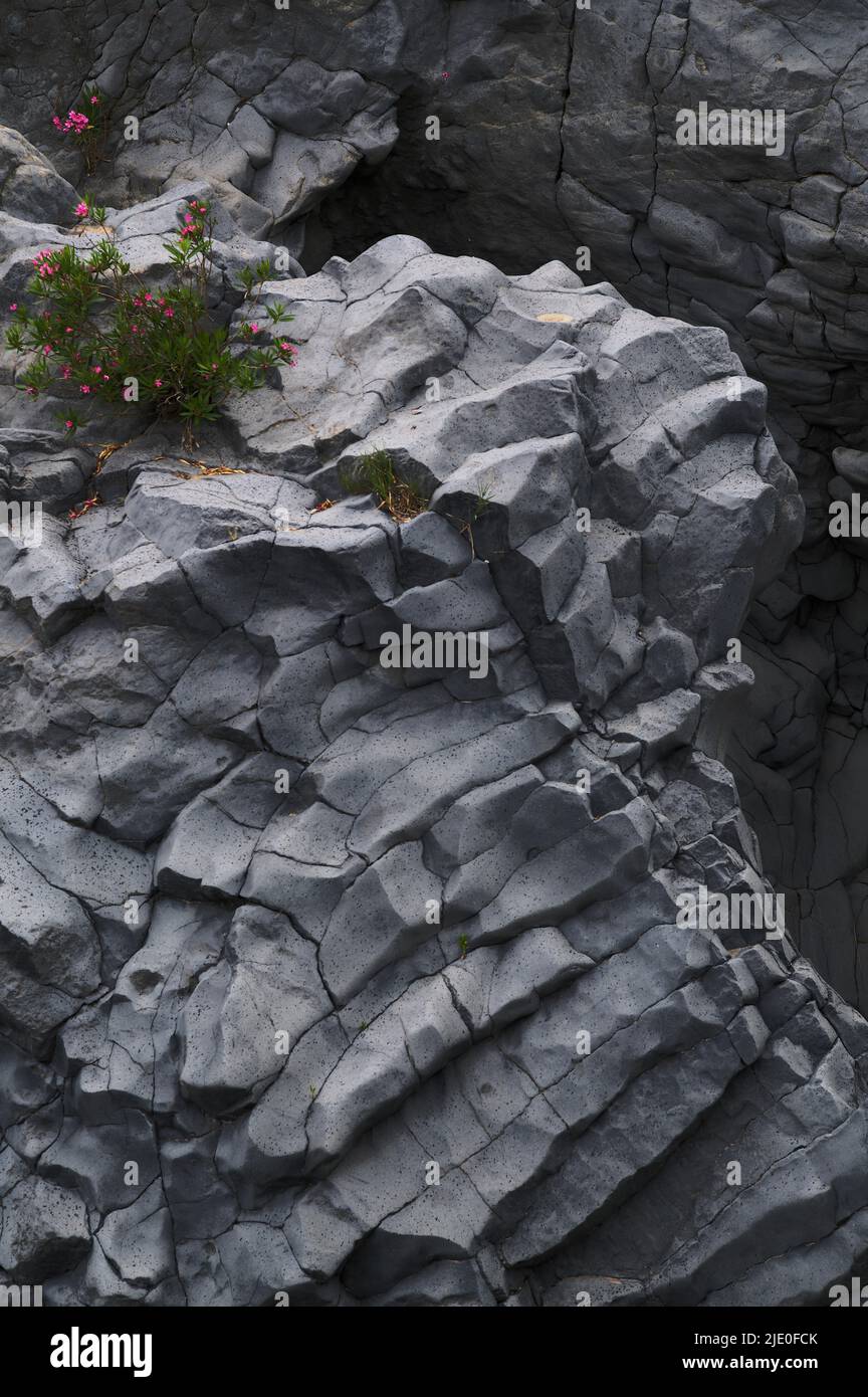 Roca de lava en el parque del río Alcantara de Gole dell', garganta de Alcanatra, Sicilia, Italia, Europa Foto de stock