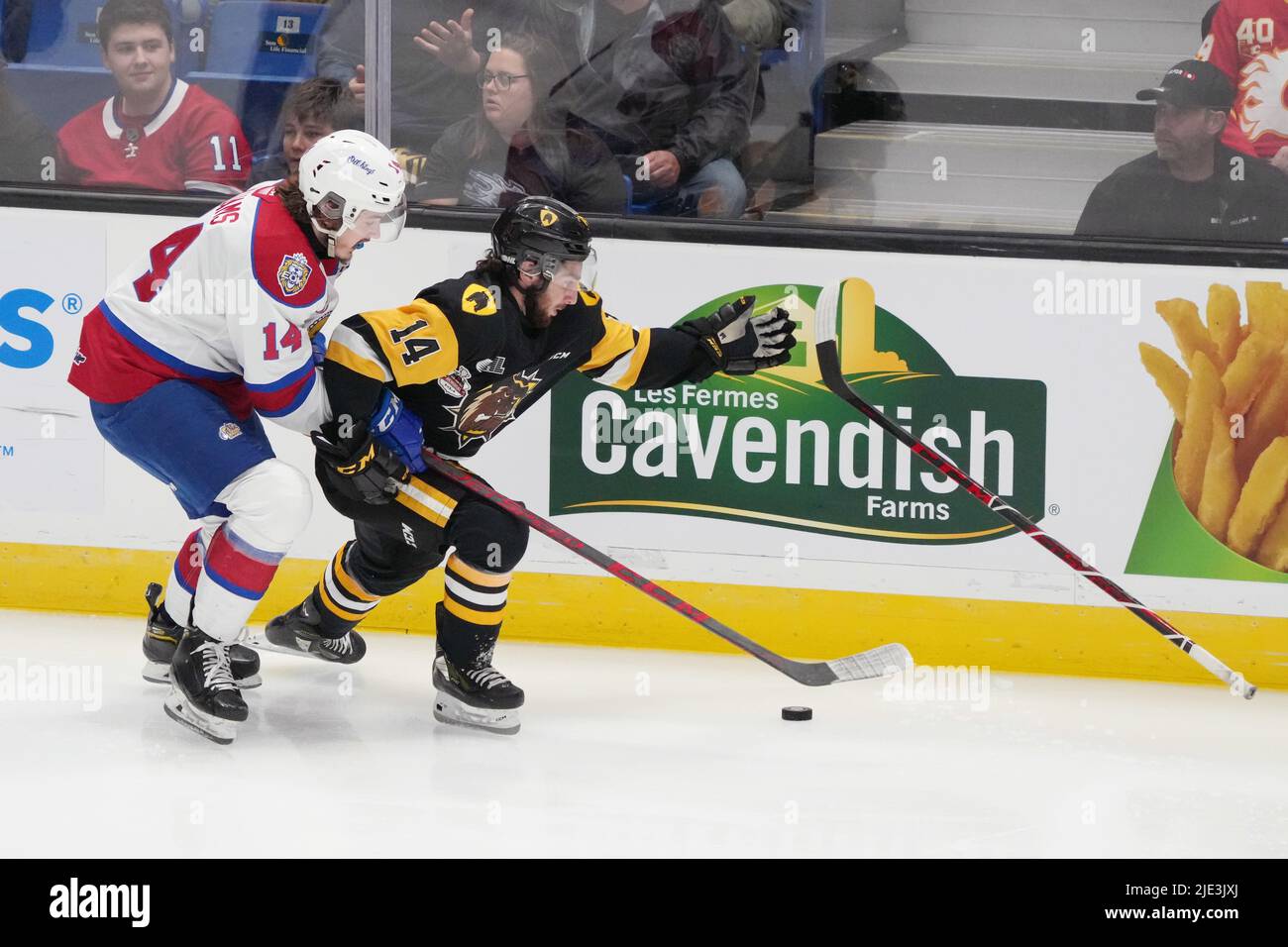 24 de junio de 2022, Saint John, NB, Canadá: George Diaco de Hamilton  Bulldogs, a la derecha, lanza el palo de Josh Williams de Edmonton Oil  Kings mientras luchaba por el puck