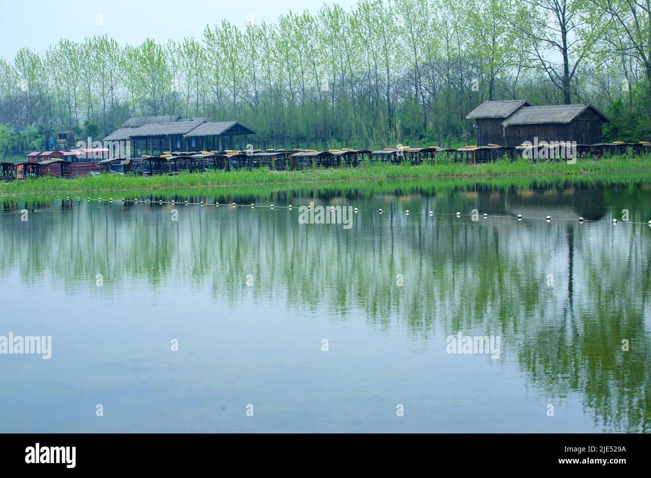 Jiangyan Jiangyan lago Qin humedal parque ecología naturaleza sol Foto de stock