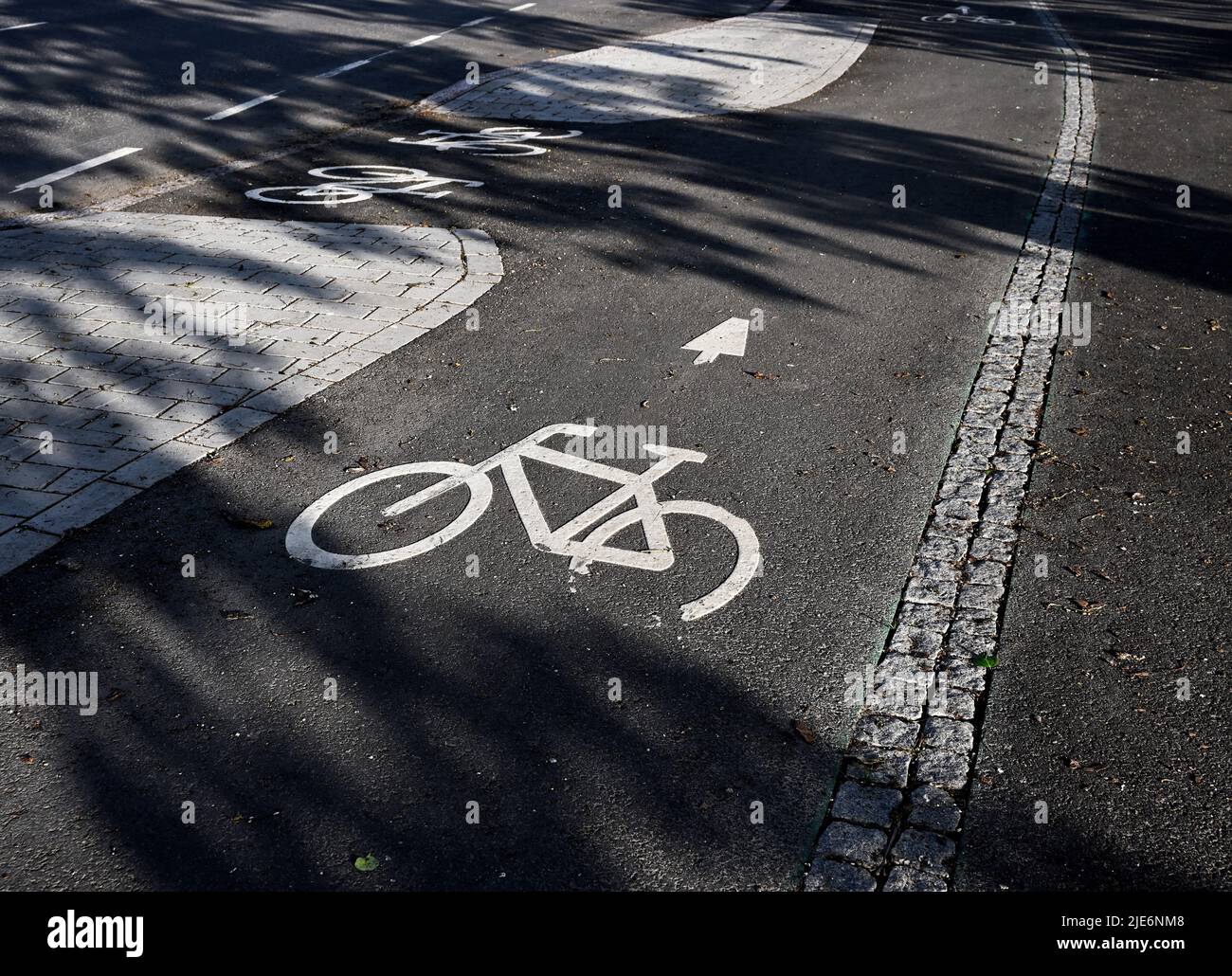 carril bici señales sobre el asfalto de la ciudad Foto de stock
