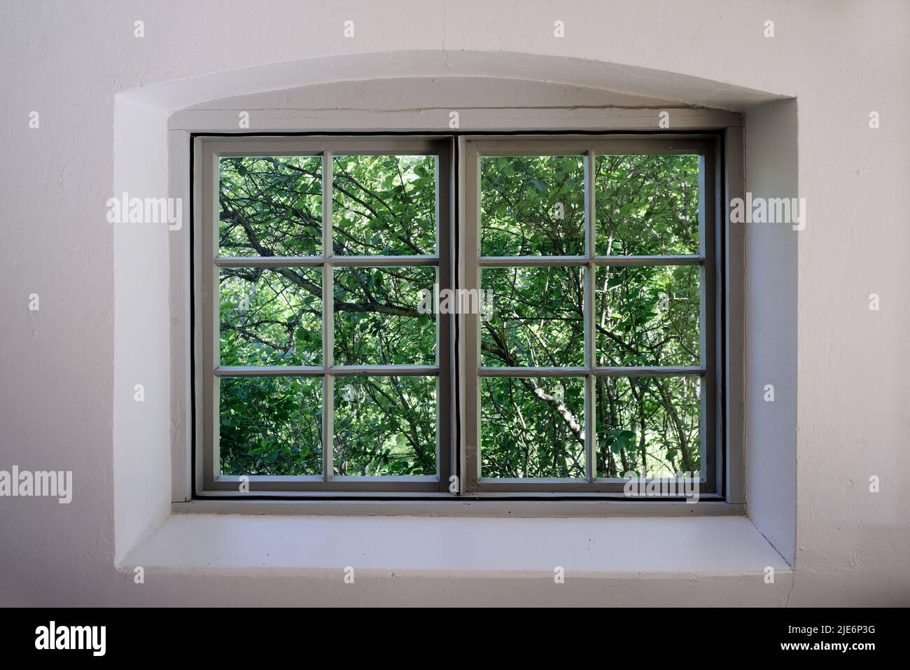 vista desde la ventana antigua al jardín, follaje verde y ramas Foto de stock