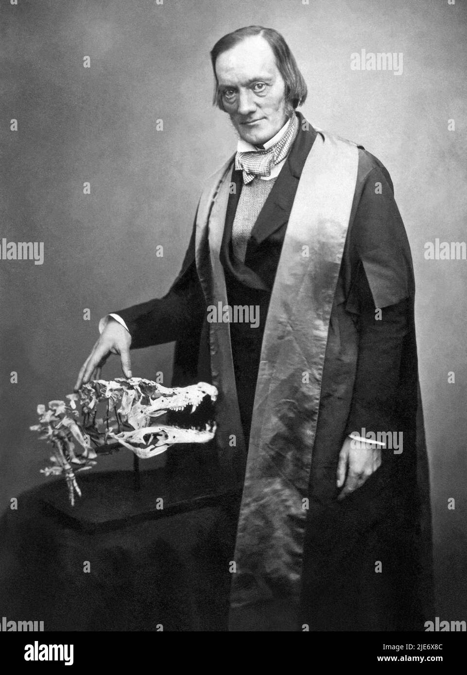 Sir Richard Owen KCB FRS (1804-1892) Biólogo inglés, anatomista comparativo y paleontólogo que acuñó el término dinosauria, del cual derivamos la palabra dinosaurio. Owen fue un crítico franco de la teoría de la evolución de Charles Darwin por la selección natural. Foto: 1856. Foto de stock