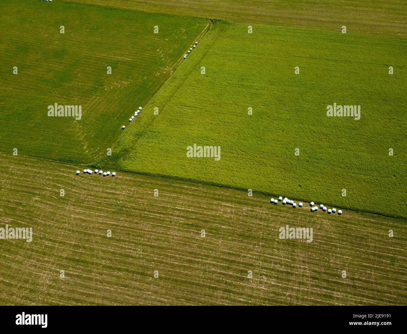 Campos agrícolas con hierba cortada en rollos de heno en el centro del campo. Vista aérea. Disparo con drone. Foto de stock