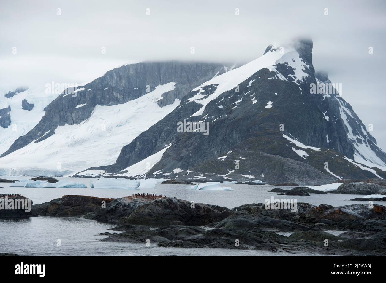 Turistas que desembarcan en las Islas Yalour en la Península Antártica Foto de stock