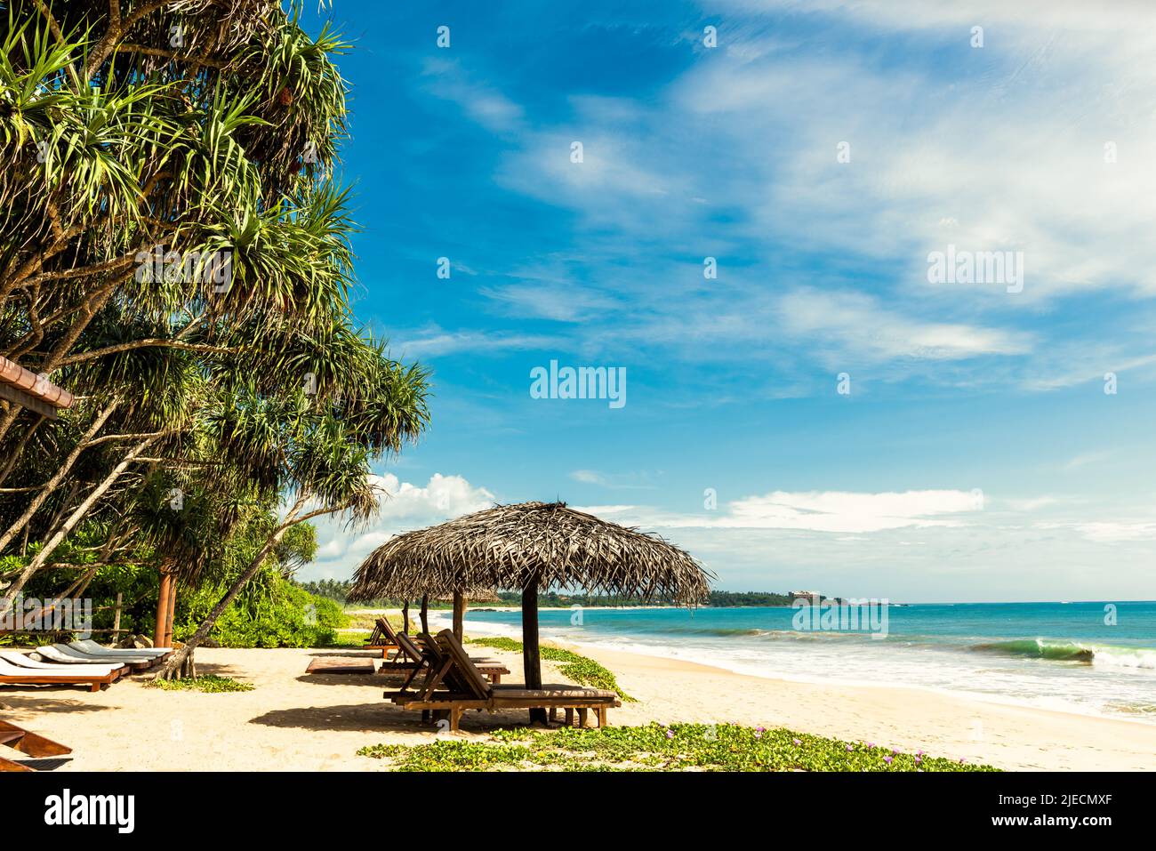 Vista al resort tropical, hamacas y sombrillas en la playa oceánica, Sri Lanka. Vista panorámica de la playa de arena con palmeras y cielo azul. Paisaje idílico b Foto de stock