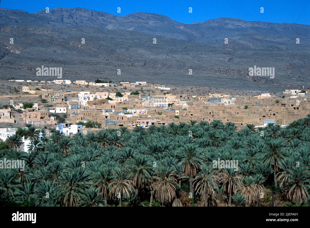 al-Hamra, pueblo interior con palmeras datileras, Sultanato de Omán Foto de stock