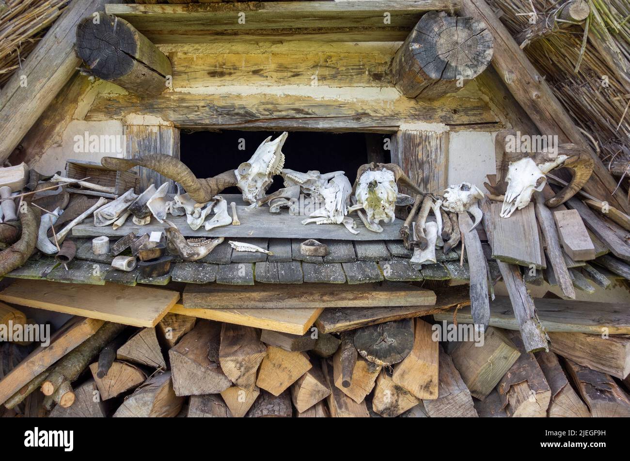 Paisaje arcaico incluyendo algunos cráneos animales y huesos Foto de stock