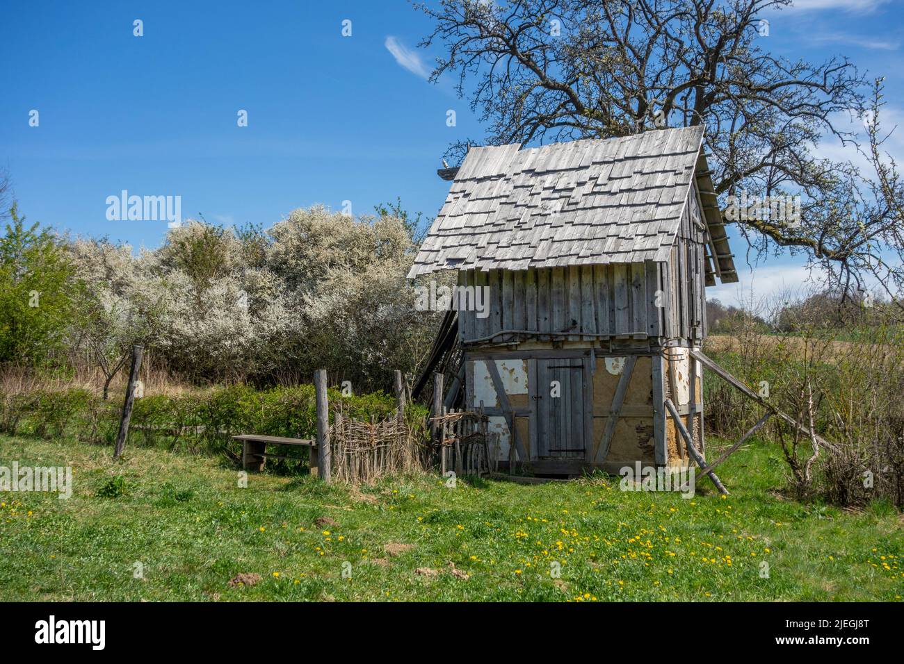 Cabaña medieval de madera en ambiente soleado a principios de primavera Foto de stock