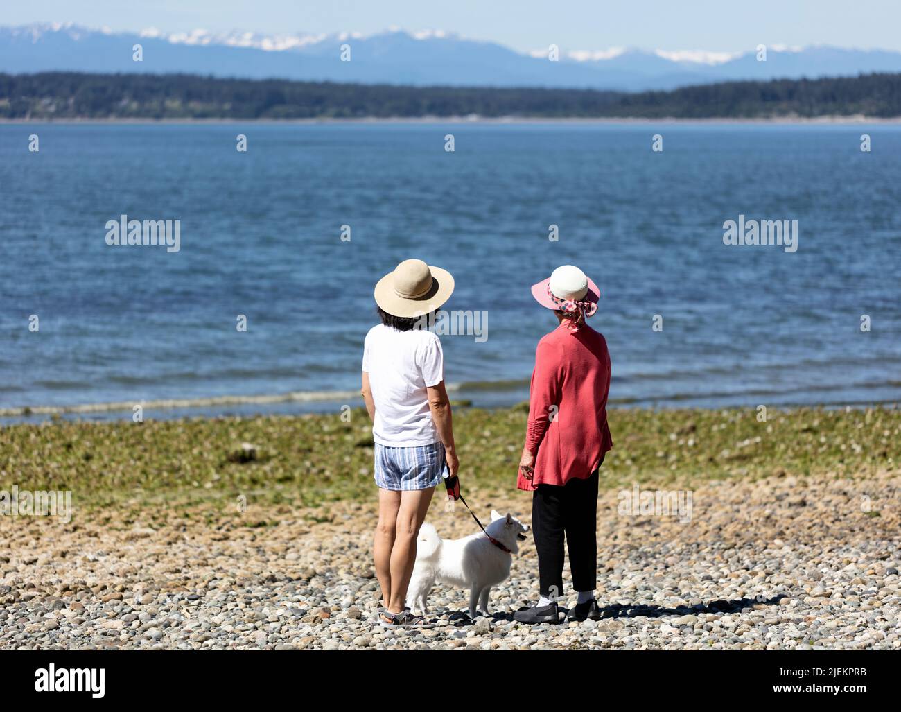 Madre, hija y su perro mirando hacia el sonido de Puget con las montañas olímpicas de fondo Foto de stock