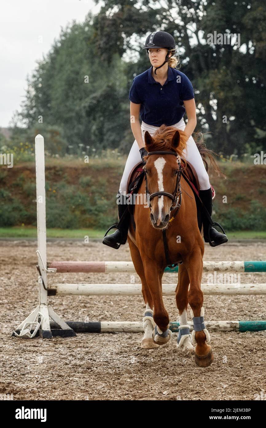 Caballo marrón con jockey niña saltando sobre un obstáculo. Foto de stock