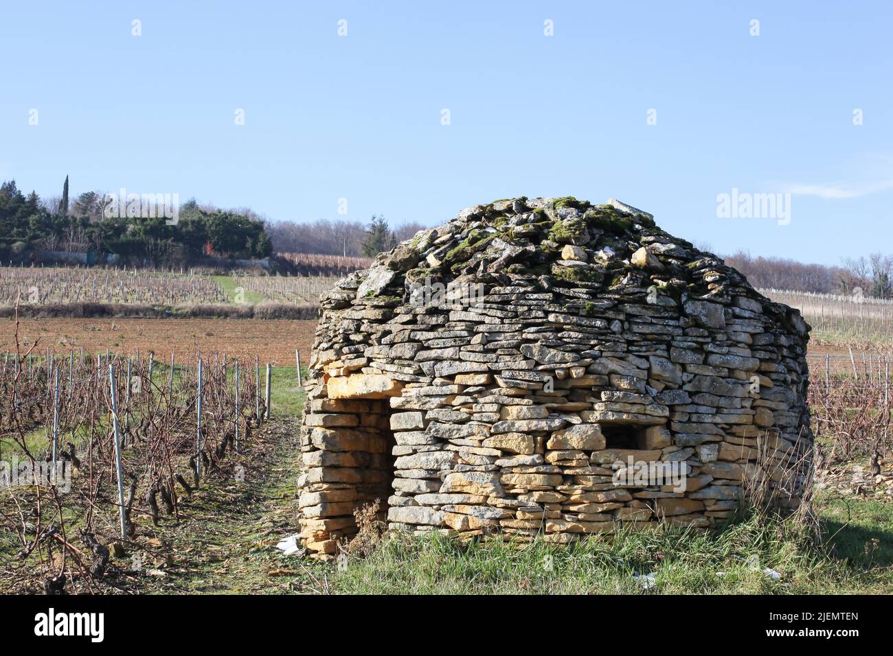 Antigua y típica cabaña de piedra llamada cadole en lengua francesa en los viñedos de Beaujolais, Francia Foto de stock