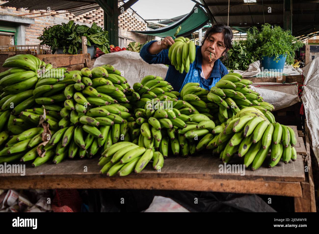 Farmer ofrece sus productos en el mercado local. Pasto, Nariño. Foto de stock