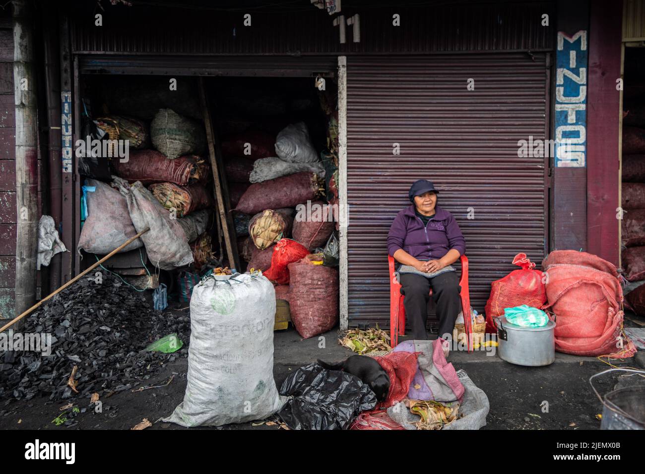 Mujer campesina vendiendo carbón en el mercado rural. Pasto, Nariño. Foto de stock
