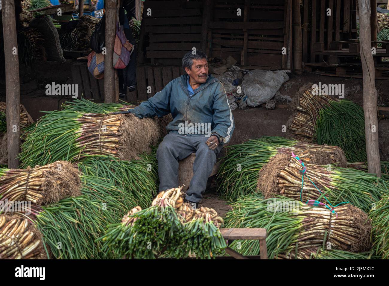 Agricultor andino vendiendo en un mercado campesino. Pasto, Narino. Foto de stock