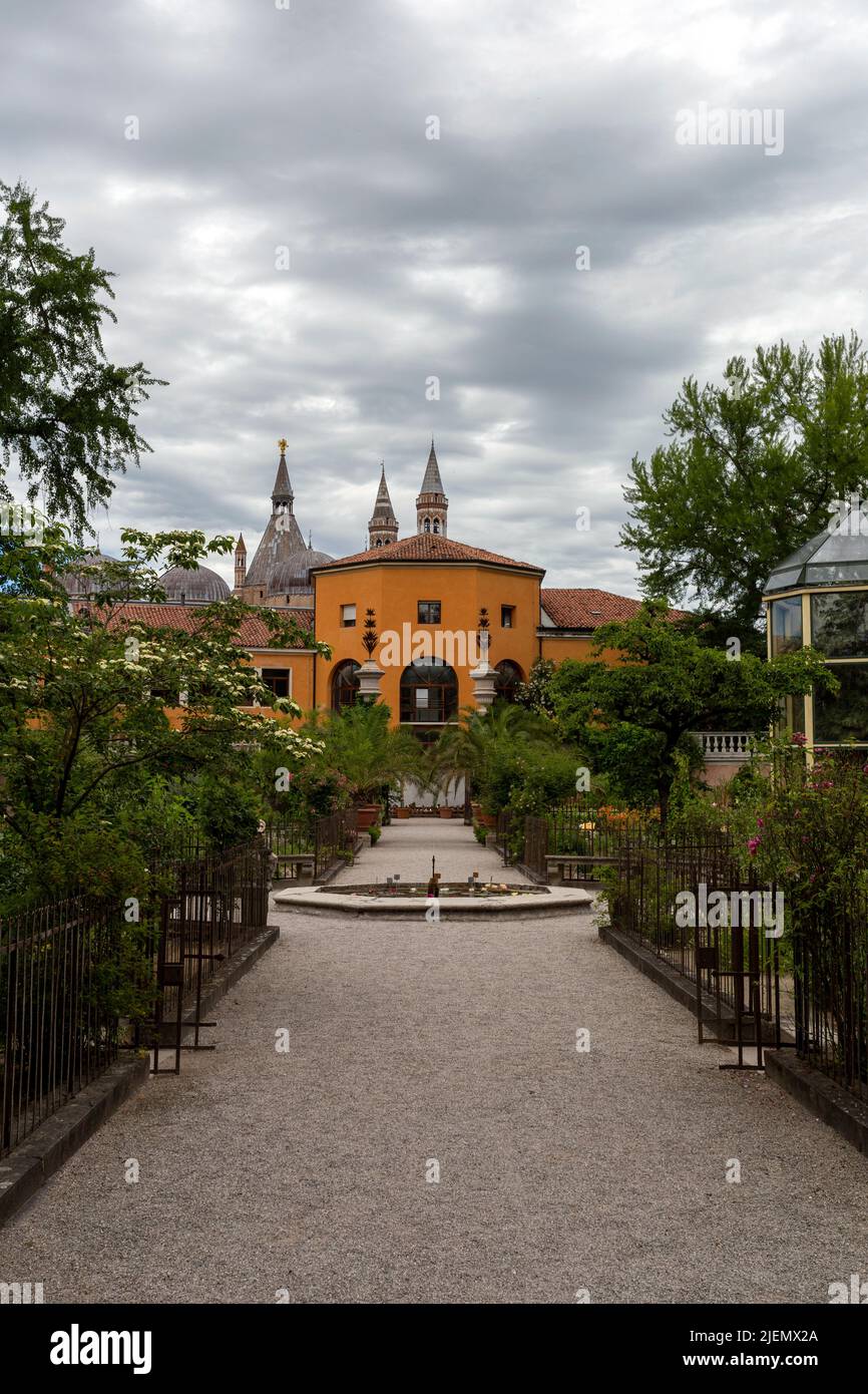 Padua, Italia - 06 10 2022: Jardín Botánico de la Universidad de Padua en Padua en un día de verano. Foto de stock