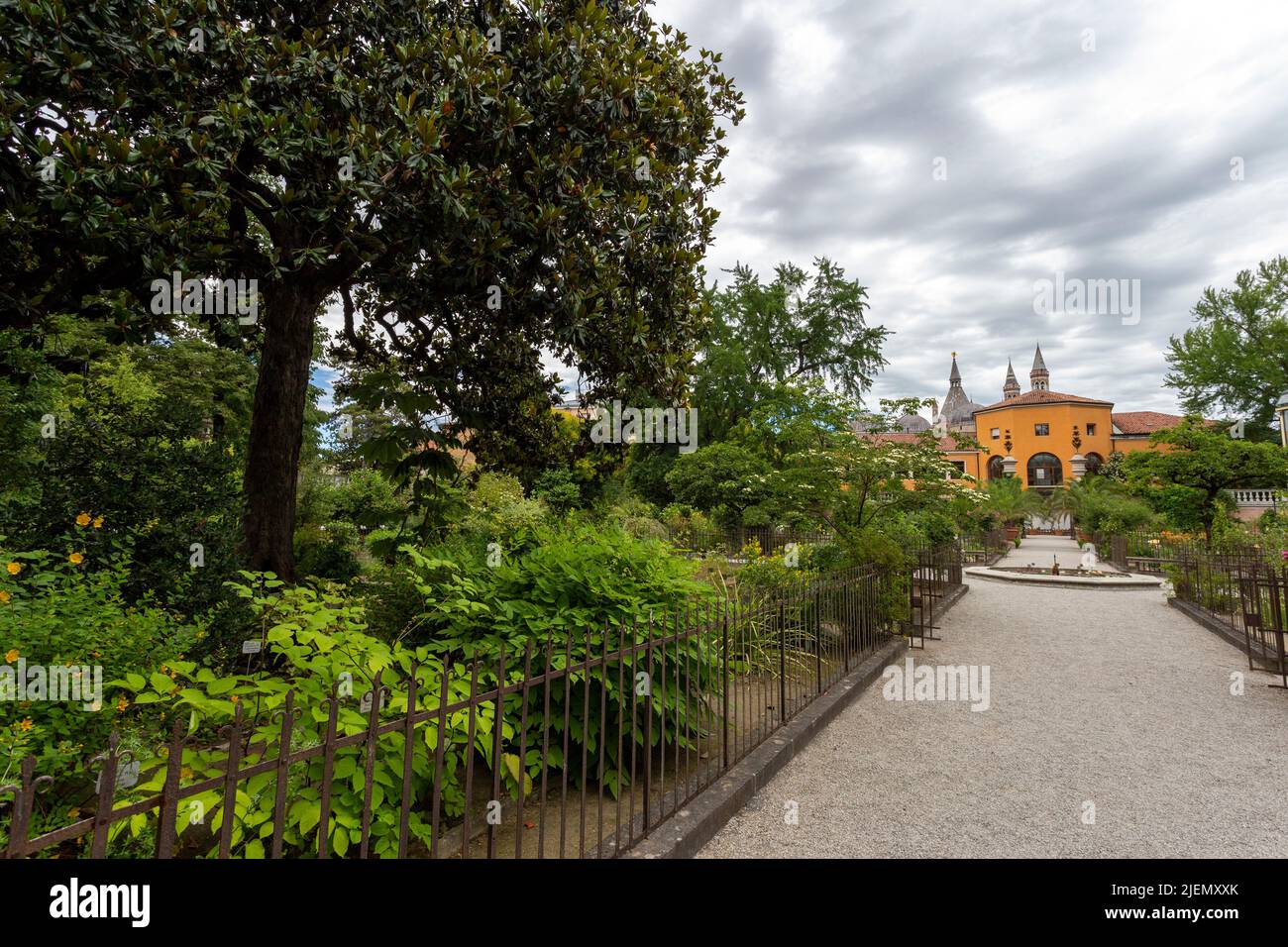 Padua, Italia - 06 10 2022: Jardín Botánico de la Universidad de Padua en Padua en un día de verano. Foto de stock