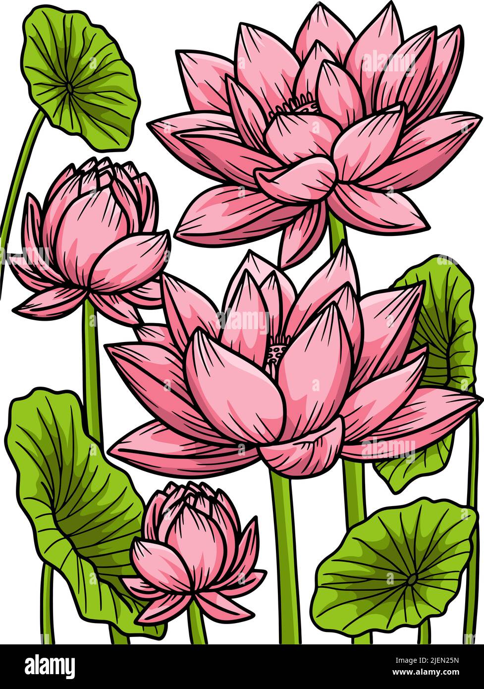 Flor de Loto Cartoon colored Clipart Ilustración Ilustración del Vector