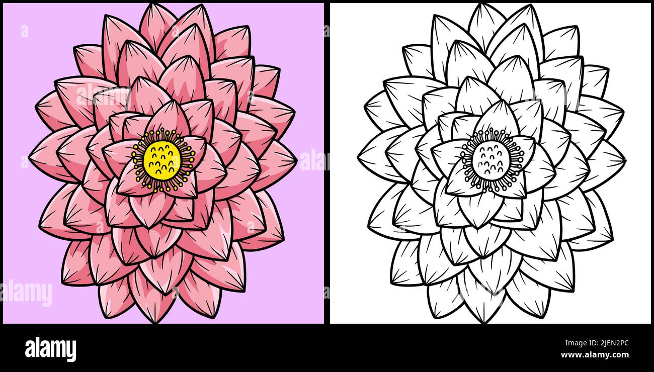 Ilustración coloreada de la página de la flor del loto Ilustración del Vector