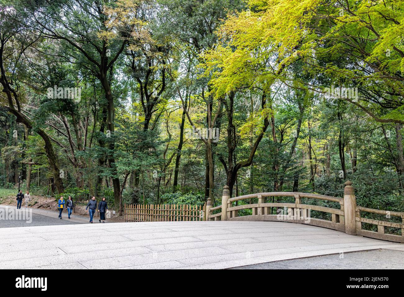 Tokio, Japón - 28 de marzo de 2019: Santuario Meiji con bosque de árboles verdes y turistas caminando hacia el puente en el parque durante la temporada de primavera Foto de stock