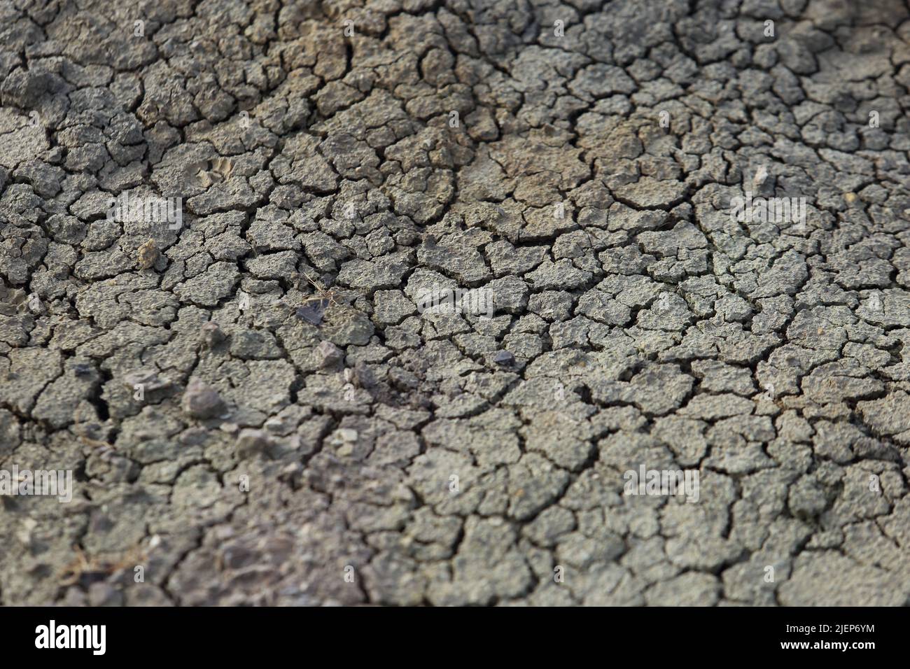 sequía - tierra seca sin agua Foto de stock