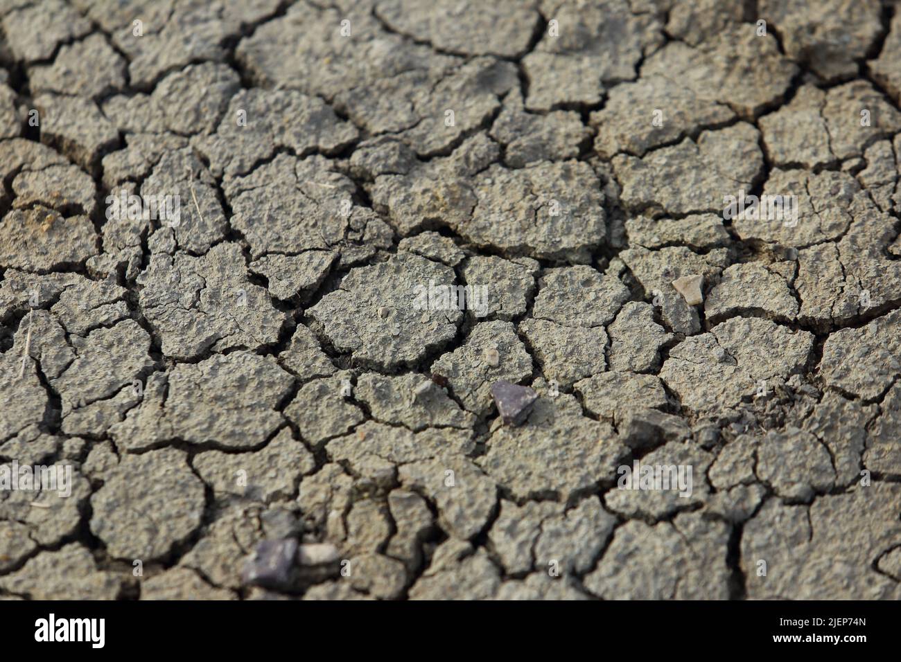 sequía - tierra seca sin agua Foto de stock