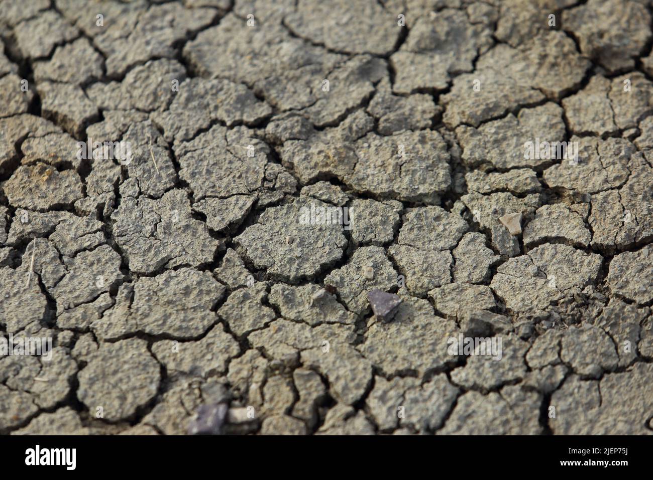 sequía - tierra seca sin agua Foto de stock