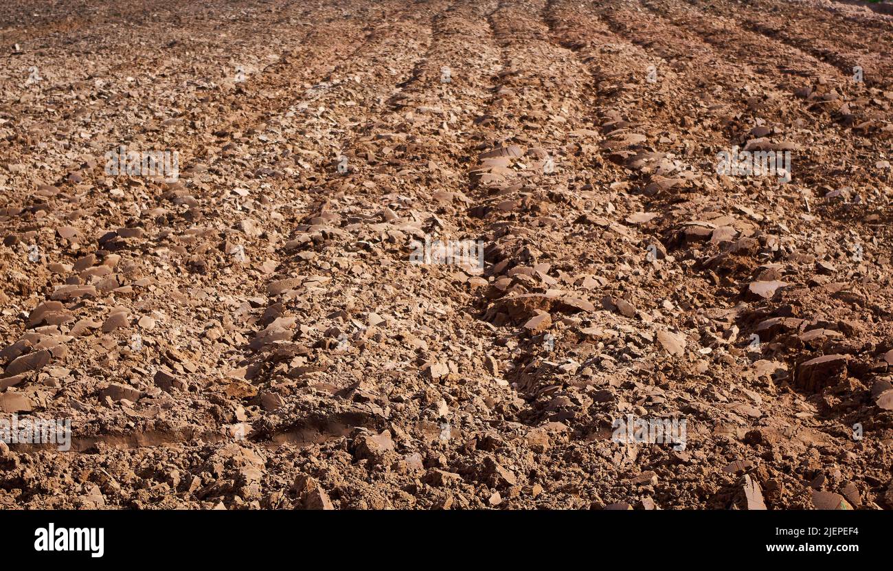 El arado marca en el suelo durante la temporada de crecimiento Foto de stock