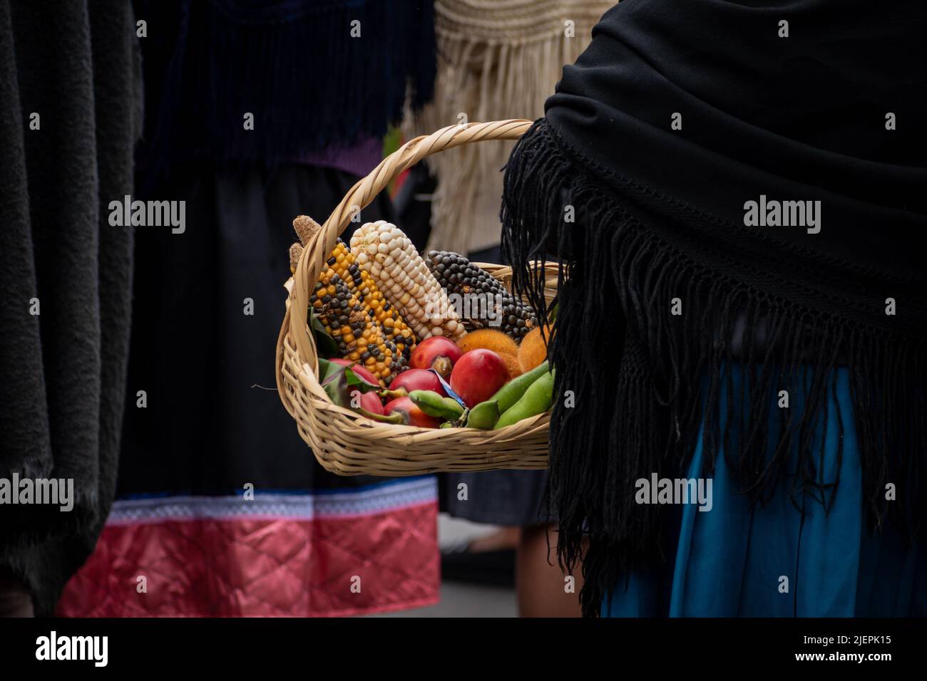 Mujer indígena lleva una canasta con alimentos nativos de la región, Ipiales, Nariño. Foto de stock