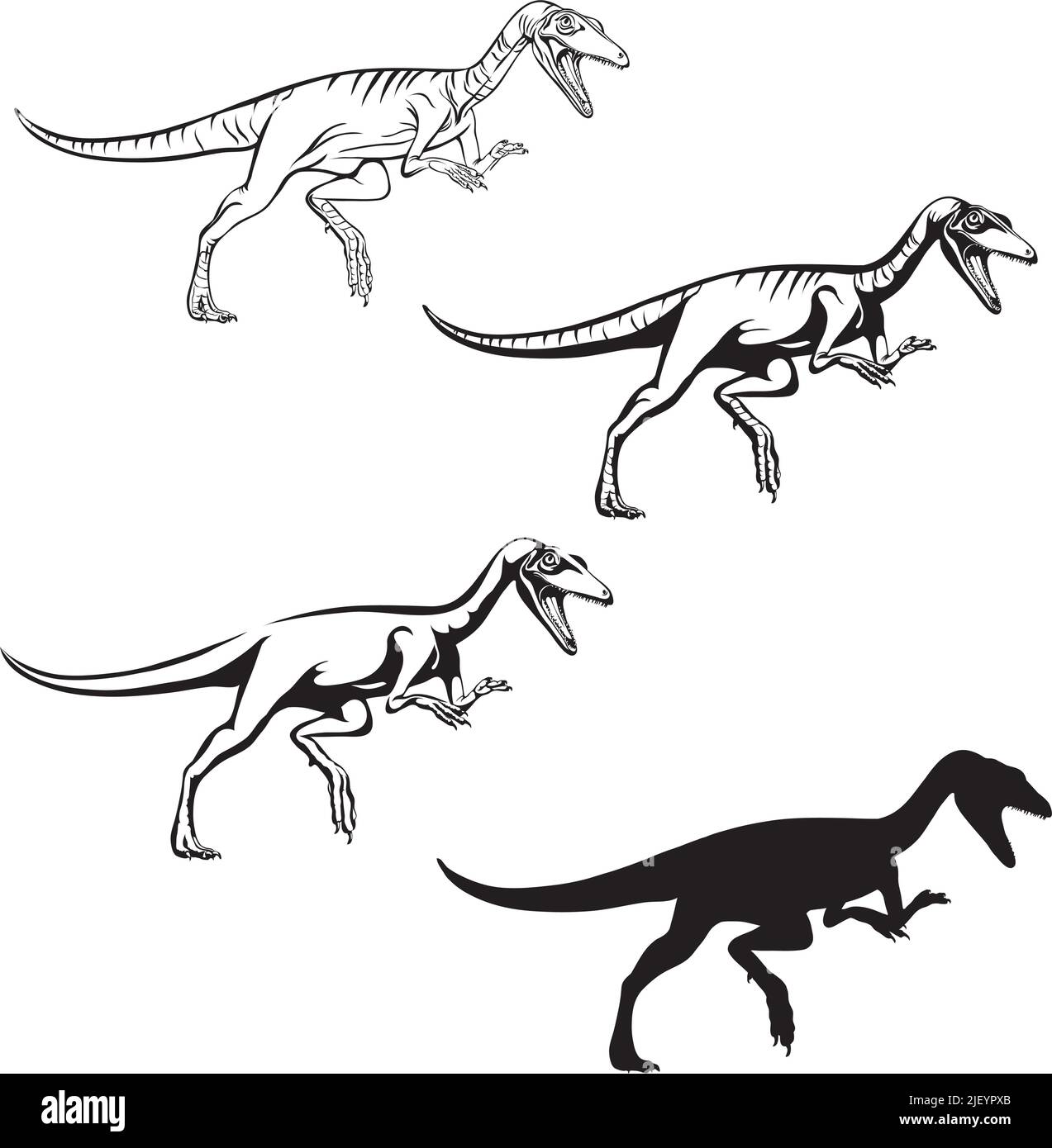 Compsognathus, imagen realista de dinosaurio, vector, posiciones, ilustración, blanco y negro, silueta, logotipo, marca, galón para decoración y des Ilustración del Vector
