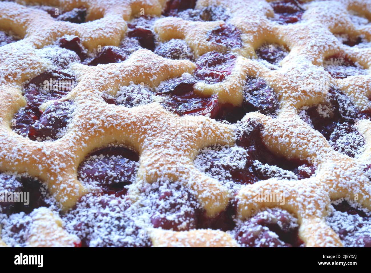 Meggyes pite, meggyes lepeny, tradicional pastel de cerezas ácidas húngaro con azúcar glaseado Foto de stock