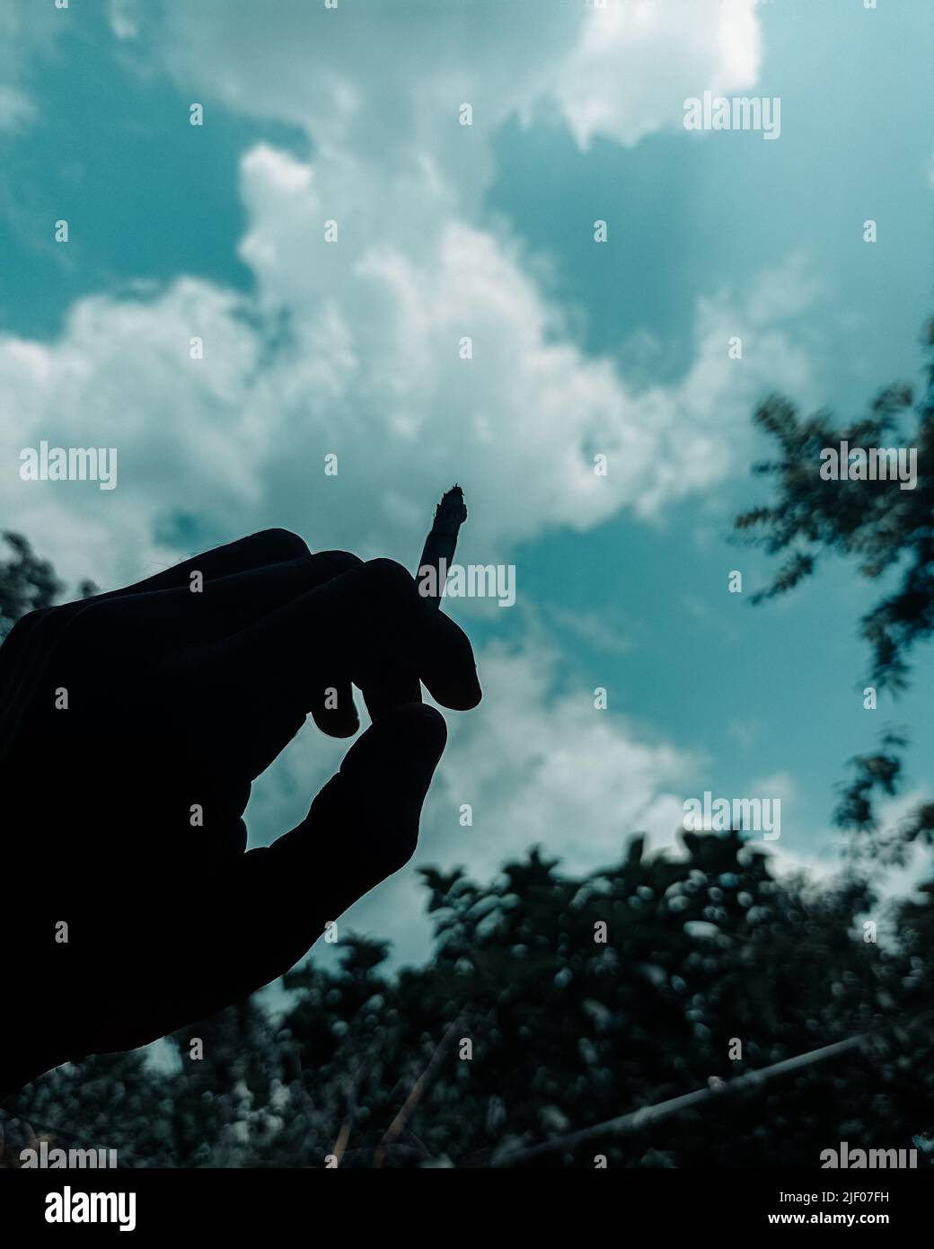 Un disparo de ángulo bajo de la mano de una persona sosteniendo un cigarrillo con el cielo en el fondo Foto de stock